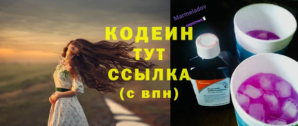 твердый Инсар