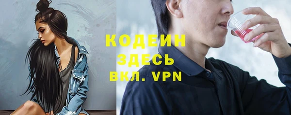 твердый Инсар