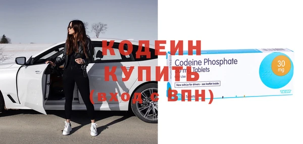 твердый Инсар
