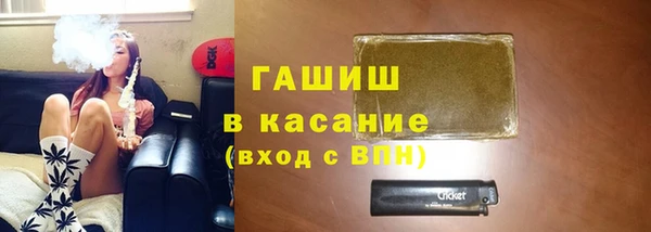 твердый Инсар