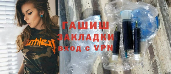 твердый Инсар