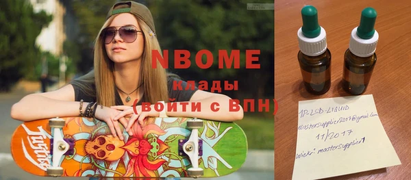 твердый Инсар