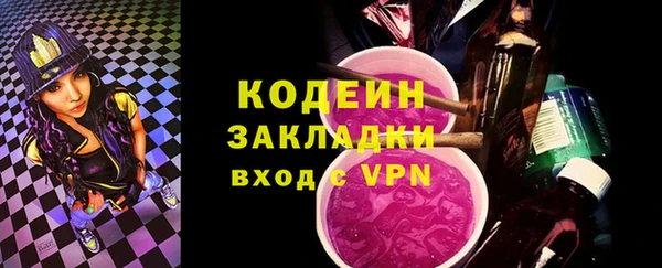 твердый Инсар