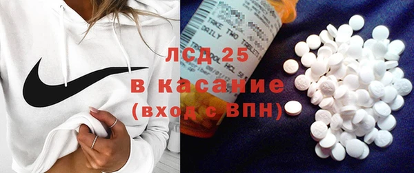 твердый Инсар